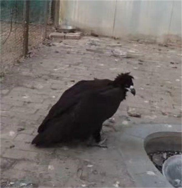 2 (1).jpg