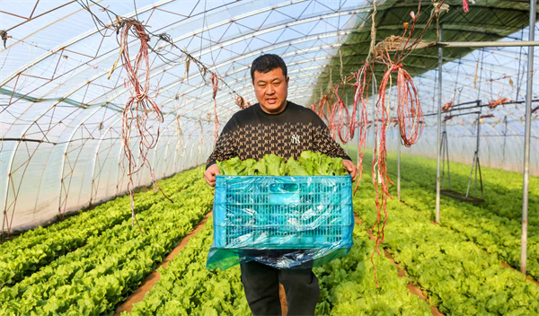 山西夏县庙前镇高质量发展成效显著