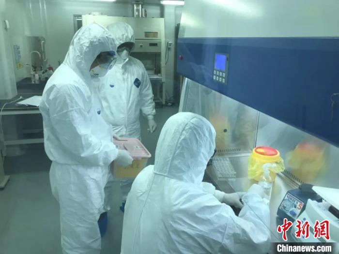 检测人员加班加点完成标本检测工作。东南大学附属中大医院供图