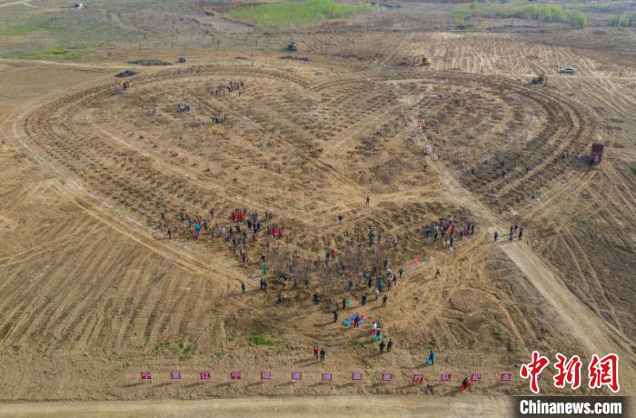 航拍援襄医疗队纪念林建设现场 杨东 摄